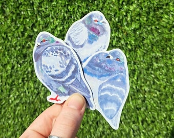 May include: Three watercolour stickers of pigeons, each with a different pose and expression. The pigeons are painted in shades of blue, grey, and white, with hints of purple and red.