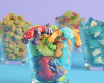 Ranitas de Goma de la Selva Tropical (1 libra) – Ranitas de Goma Coloridas para Fiestas, Cumpleaños y Bufés de Dulces