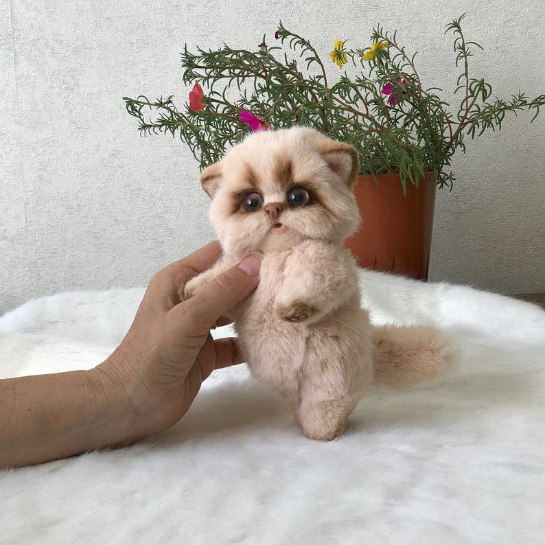 Realistic cat unique small cat toy gift for cat lover Etsy