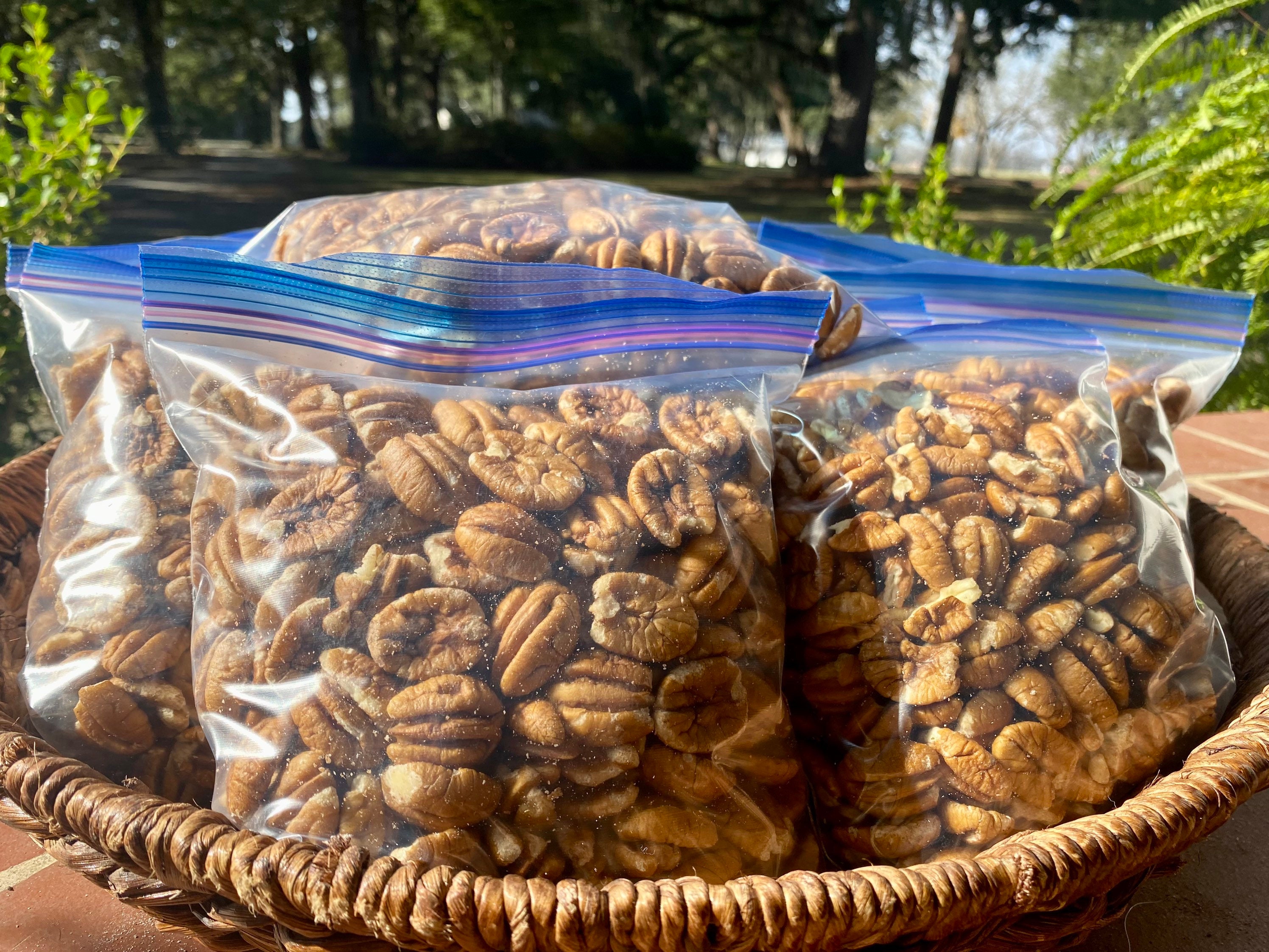 New Crop Elliott Pecans From Southeast 1lb Etsy