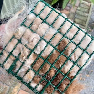 May include: A green wire bird feeder filled with brown and white bird nesting material.