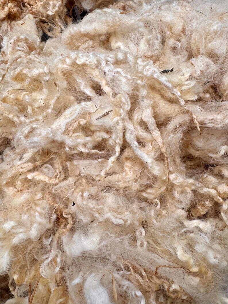 Wool Unprocessed 100% Raw Teeswater/tunis Sheep Wool Fiber 6oz - Etsy