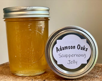 Southeast Georgia Scuppernong Grape Jelly