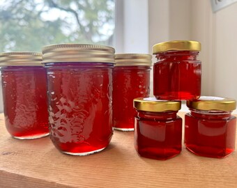 Southeast Georgia Wild Muscadine Grape Jelly