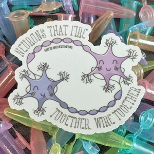 May include: A white sticker featuring a cartoon illustration of two neurons, coloured purple and blue, connected by a chain of purple circles. The text "NEURONS THAT FIRE TOGETHER, WIRE TOGETHER" is written in a gold font around the neurons. The text "@RESEARCHGOTMELIKE" is written in a smaller font below the neurons.