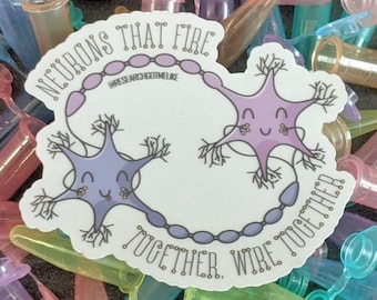 Neuronas colaboradoras (transparentes)