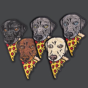 Chiot avec des plaques de pizza