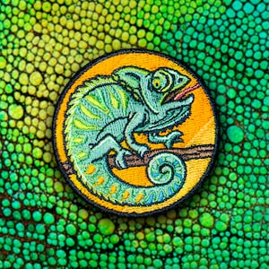 May include: A yellow and green embroidered patch of a chameleon on a branch. The chameleon is green with yellow stripes and has a long tongue sticking out.