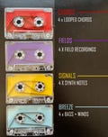 4 Tracks Pre-recorded Tapeloops (Signals | Fields | Chords | Breeze)