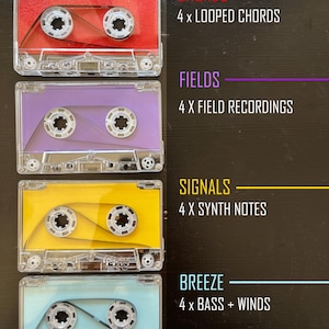 4 sporen vooraf opgenomen tapeloops (signalen | velden | akkoorden)