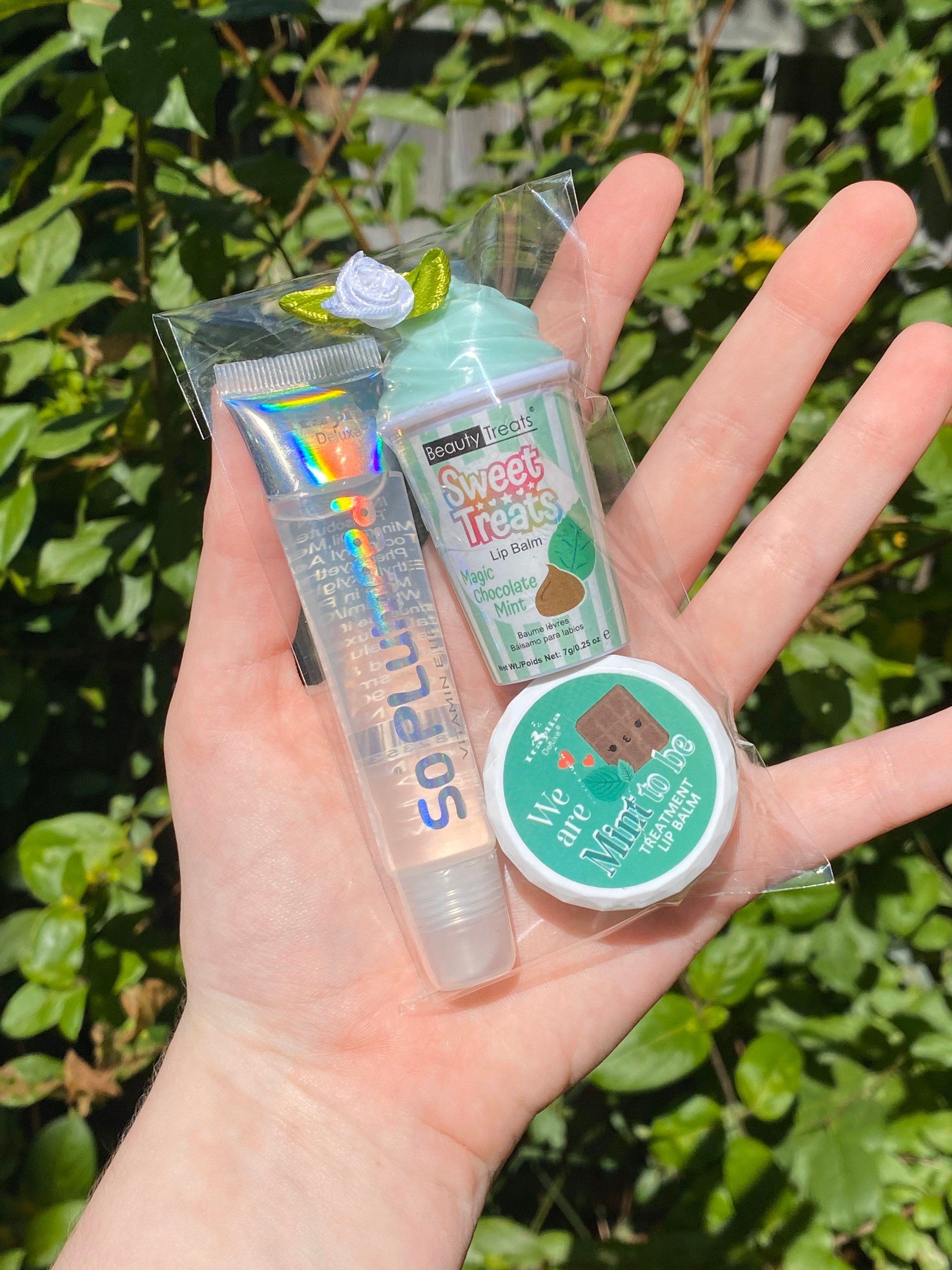 Mint Chocolate Chip Lip Gloss Bundle Fruit Burst Lip Gloss Etsy