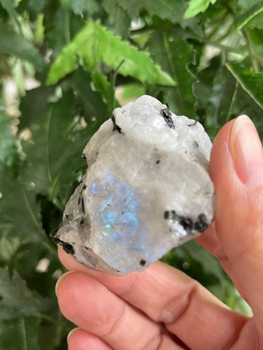 Large Rainbow Moonstone Raw Natural Stone, 2 3 Inch Rough Rainbow