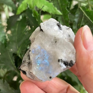 Large Rainbow Moonstone Raw Natural Stone, 2 - 3 Inch Rough Rainbow Moonstone Gemstone-  Raw Moonstone  Rainbow Crystals, Wholesale Bulk Lot