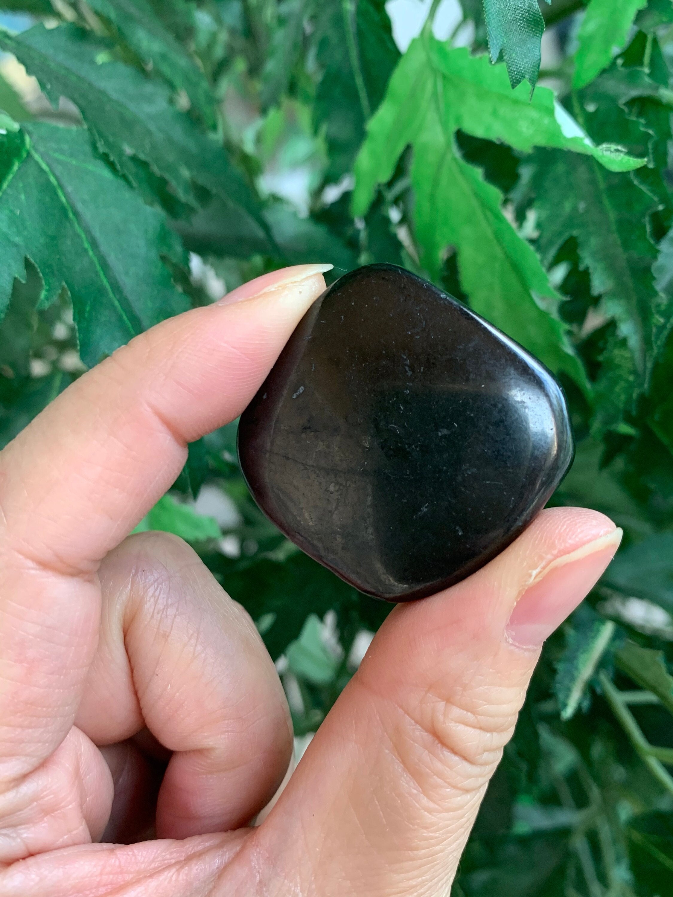Piedra de palma de Shungit cruda sin terapia con cristales electrosmog