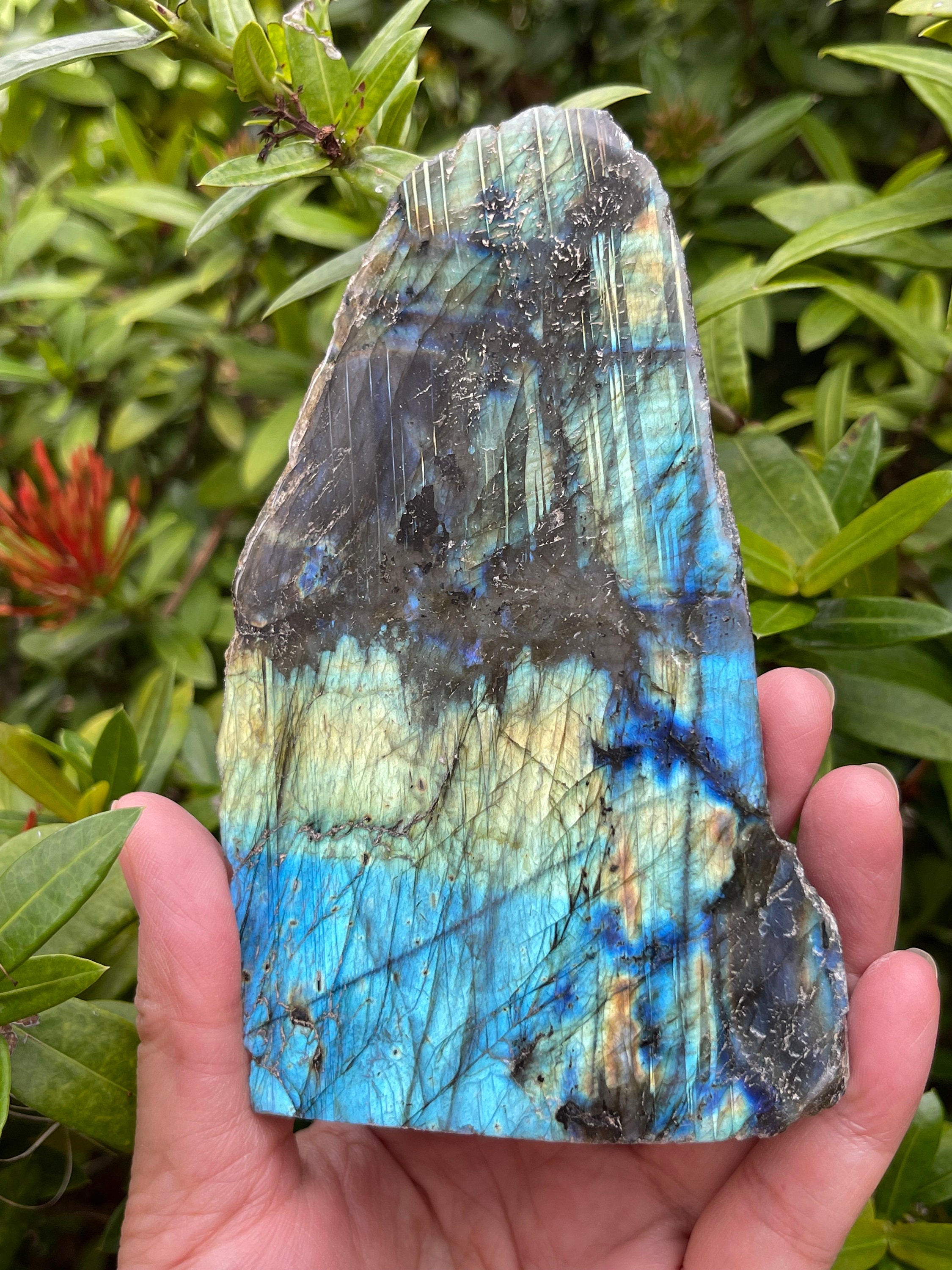 Sunset Labradorite Purple Labradorite Labradorite Full Spectrum Labradorite Half Polished Labradorite Labradorite Slab Raw Labradorite Sunset Labradorite Purple Labradorite Labradorite Full Spectrum Labradorite Half Polished Labradorite Labradorite Slab Raw Labradorite