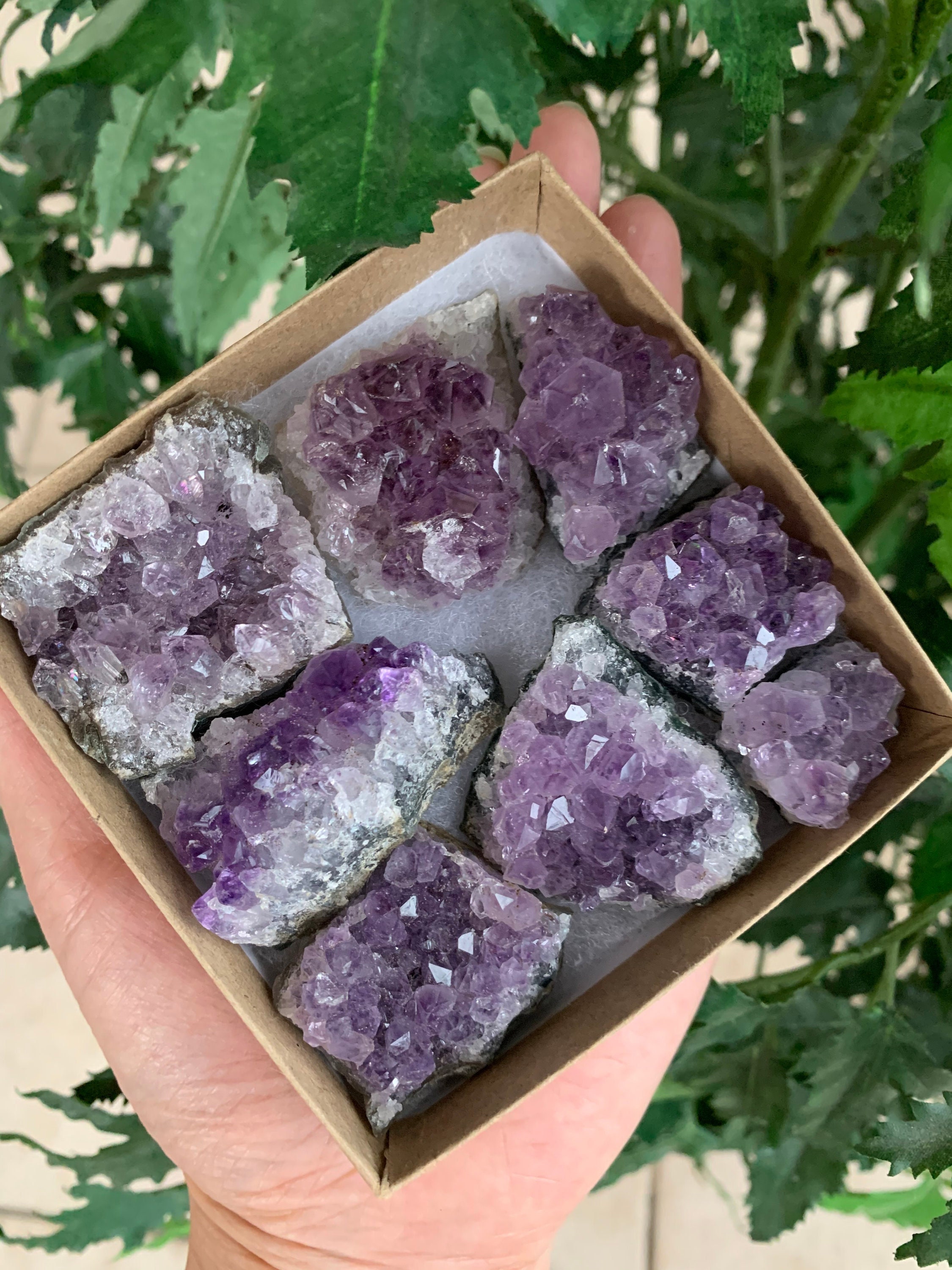 Raw amethyst hotsell cluster
