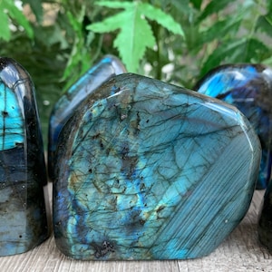 Labradorite Freeform, High Flash Free Standing Display Specimens, Polished Labradorite Free Form, Pick a Weight