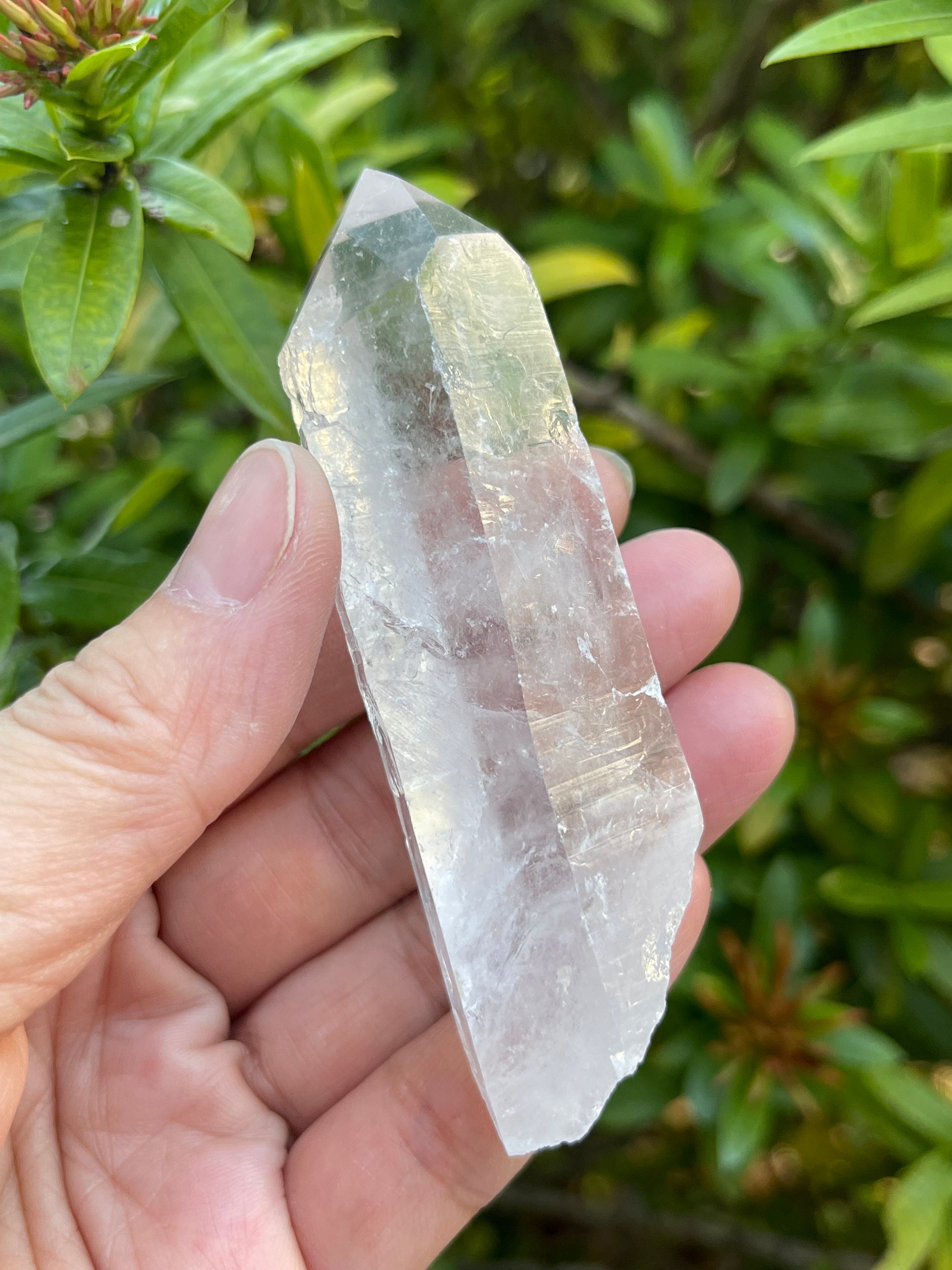 Grade A Natural Clear Quartz Crystal Points 2 to 4 Inches Etsy