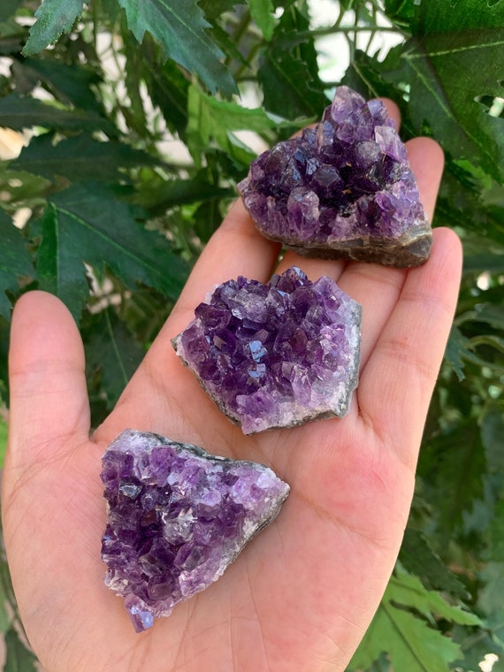 Small amethyst best sale cluster