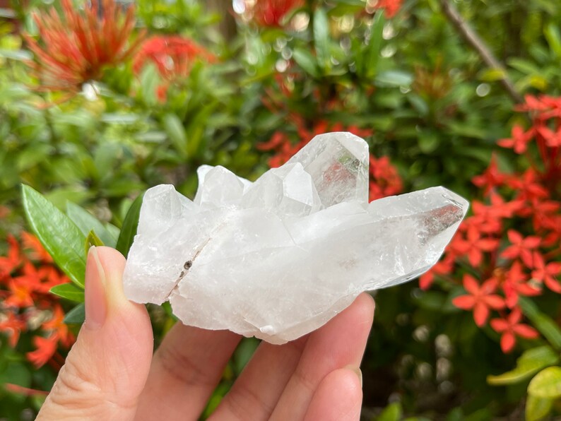 Grade A Clear Quartz Crystal Cluster 1.5  4 Inches Raw image 4