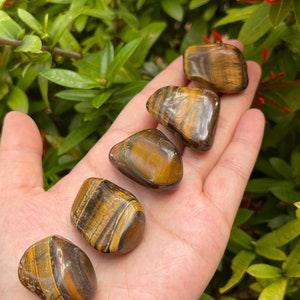 Grade A++ Gold Tiger eye Tumbled Stones, 1-1.5 Inch Tumbled Gold Tiger Eye Stones, Gold Tiger Eye Crystals, Healing Crystals, Pick How Many