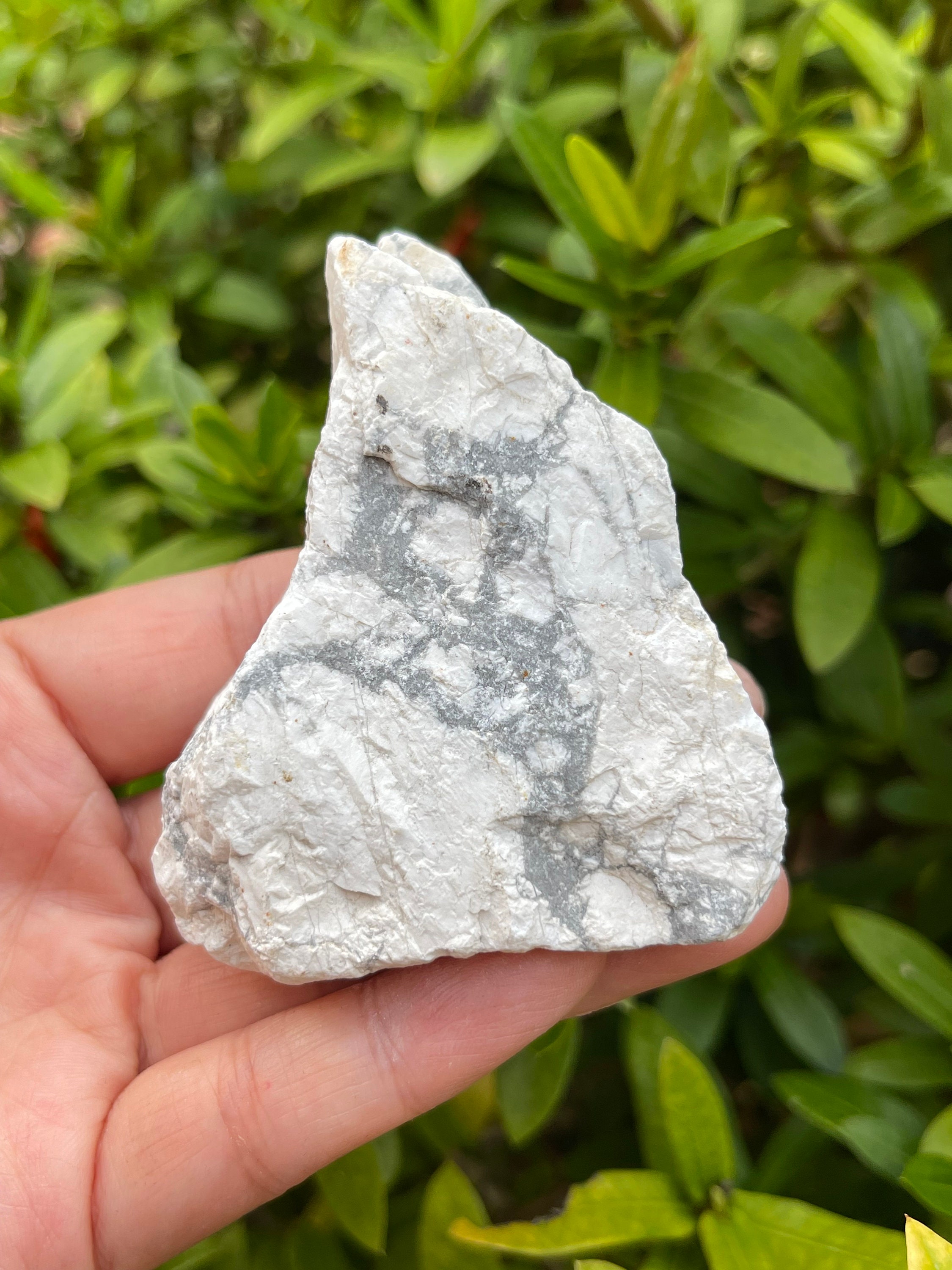 Large White Howlite Rough Natural Stones 2 3.5 Raw Etsy UK