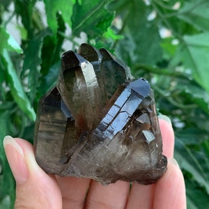 Grade A++ Smoky Quartz Cluster, 1.5 - 3 inch Smoky Quartz Point Crystals, Meditation Healing Stone, Powerful Grounding Crystal, Pick a Size