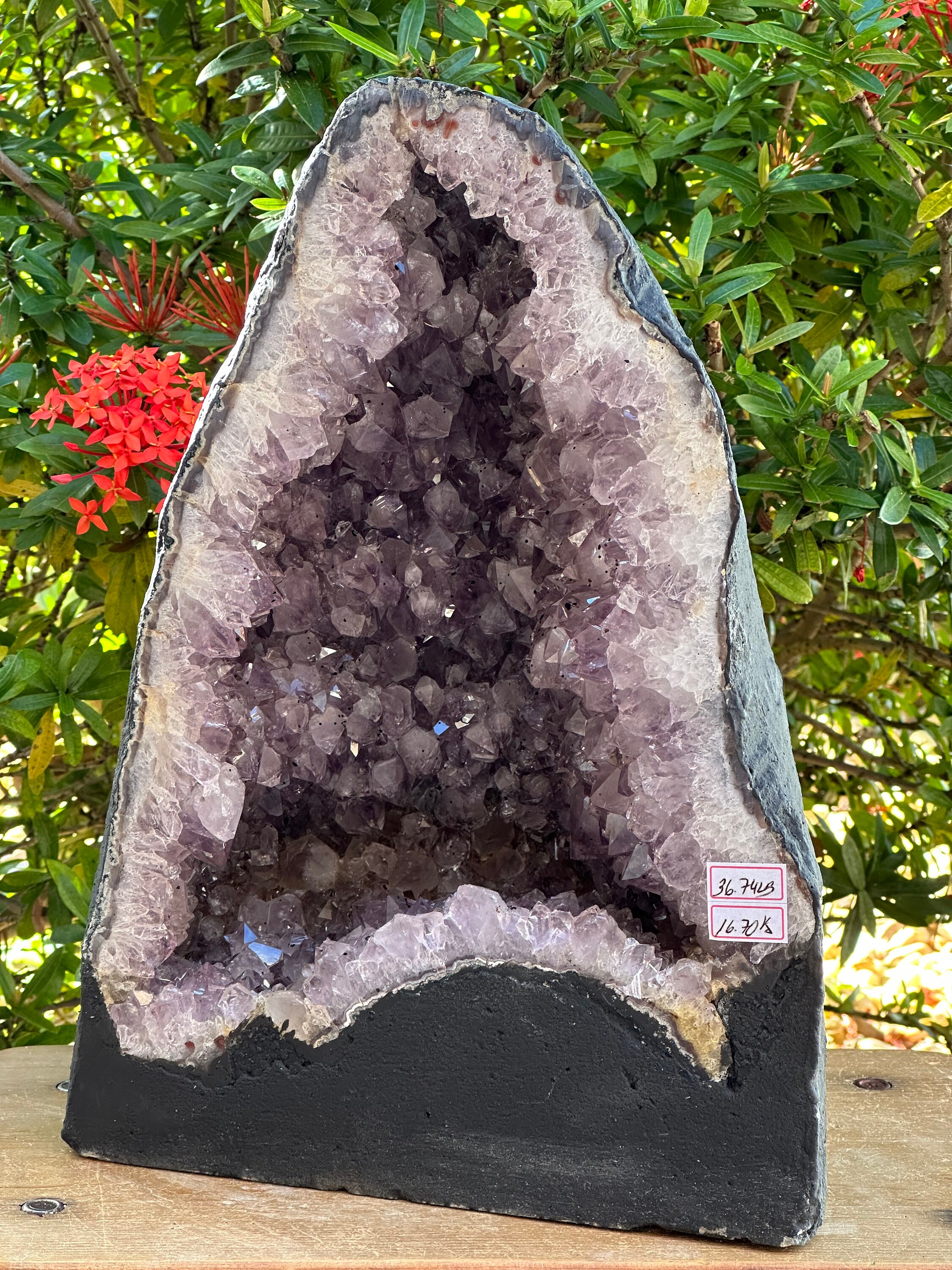 EMOTIONAL HEALING POOL Amethyst Geode Cathedral 19.50 VERY High Quality  DAG-49, Cosmic Cuts©