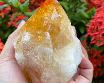 Standing Citrine Top Polished Rough Point, Deep Orange Citrine Crystal Point Cut Base, Money Stone, Success Stone, Pick A Weight