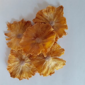 PINEAPPLE FLOWERS, dehydrated pineapple slices, dried pineapple snack, charcuterie board, garnish, tea, healthy, baking, crafts,all natural