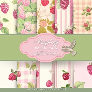 Puede incluir: Colección de patrones de papel digital con temática de frambuesa. Los diseños incluyen frambuesas, hojas y elementos florales en tonos rosa, verde y crema. La imagen también presenta una etiqueta rosa con la palabra "Raspberry" y una ilustración de paloma.