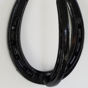 A very sturdy, all metal, universal horseshoe hook - perfect for barn and horse stuff!!