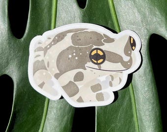 Amazon Milk Frog Sticker