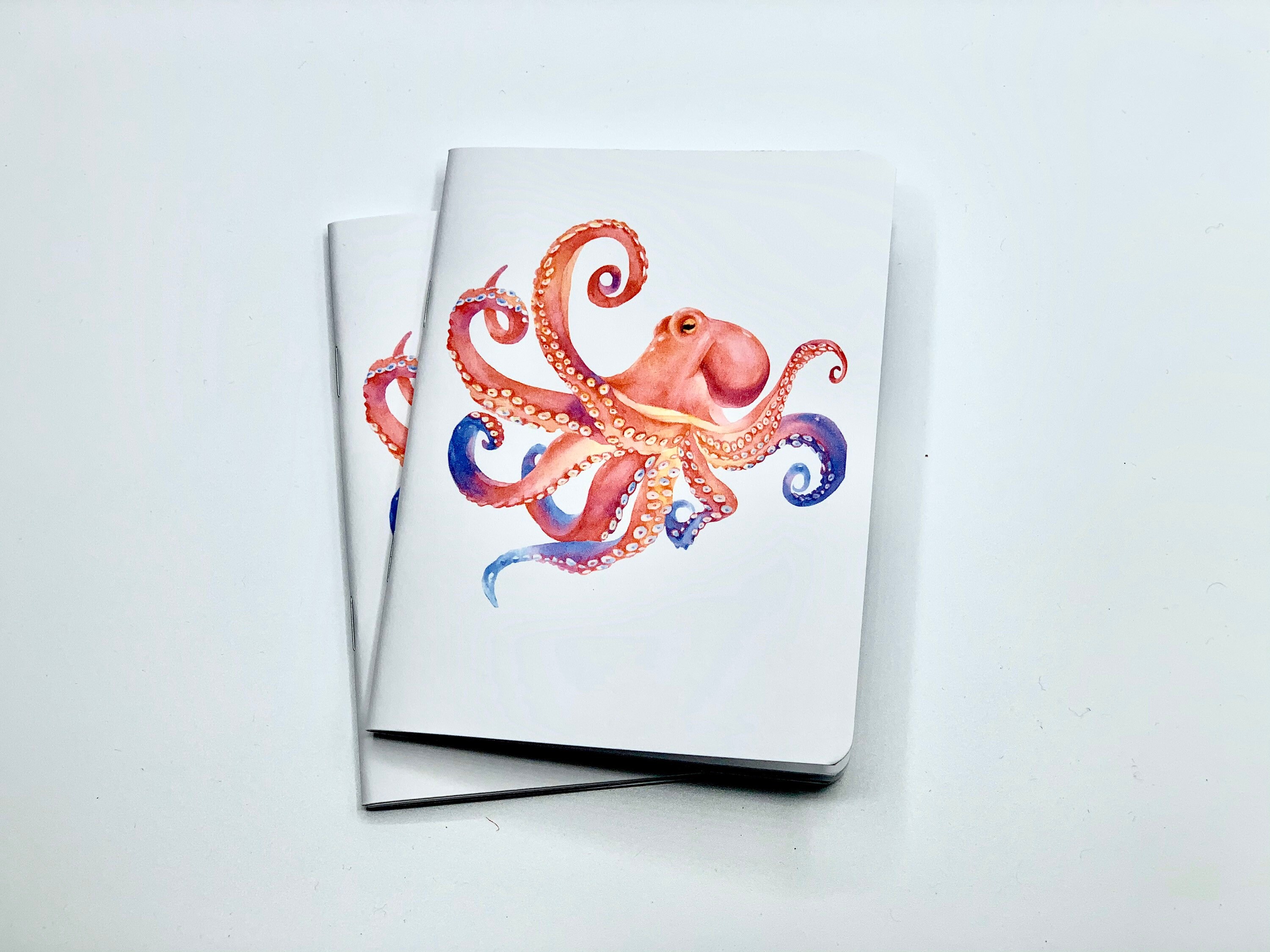 Octopus Notebooks 2 Pack Pocket Notebooks Mini Notebook Etsy
