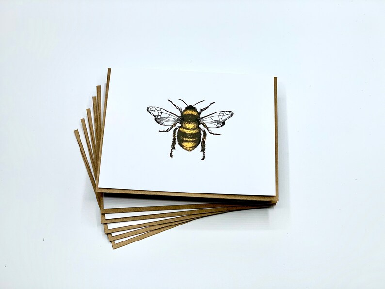 Honey Bee Greeting Card Set 6 Pack Cards With Envelopes Etsy