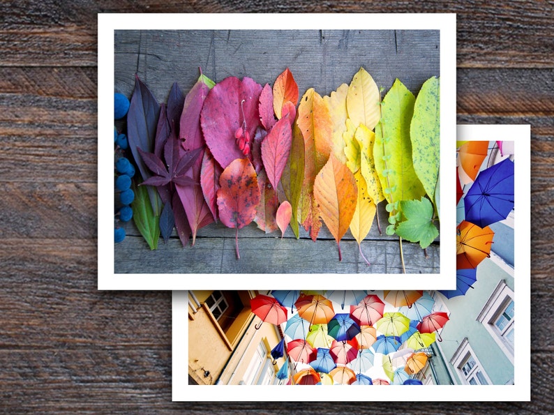 May include: A rainbow of autumn leaves arranged in a row on a wooden surface. The leaves range in colour from deep purple to bright yellow.