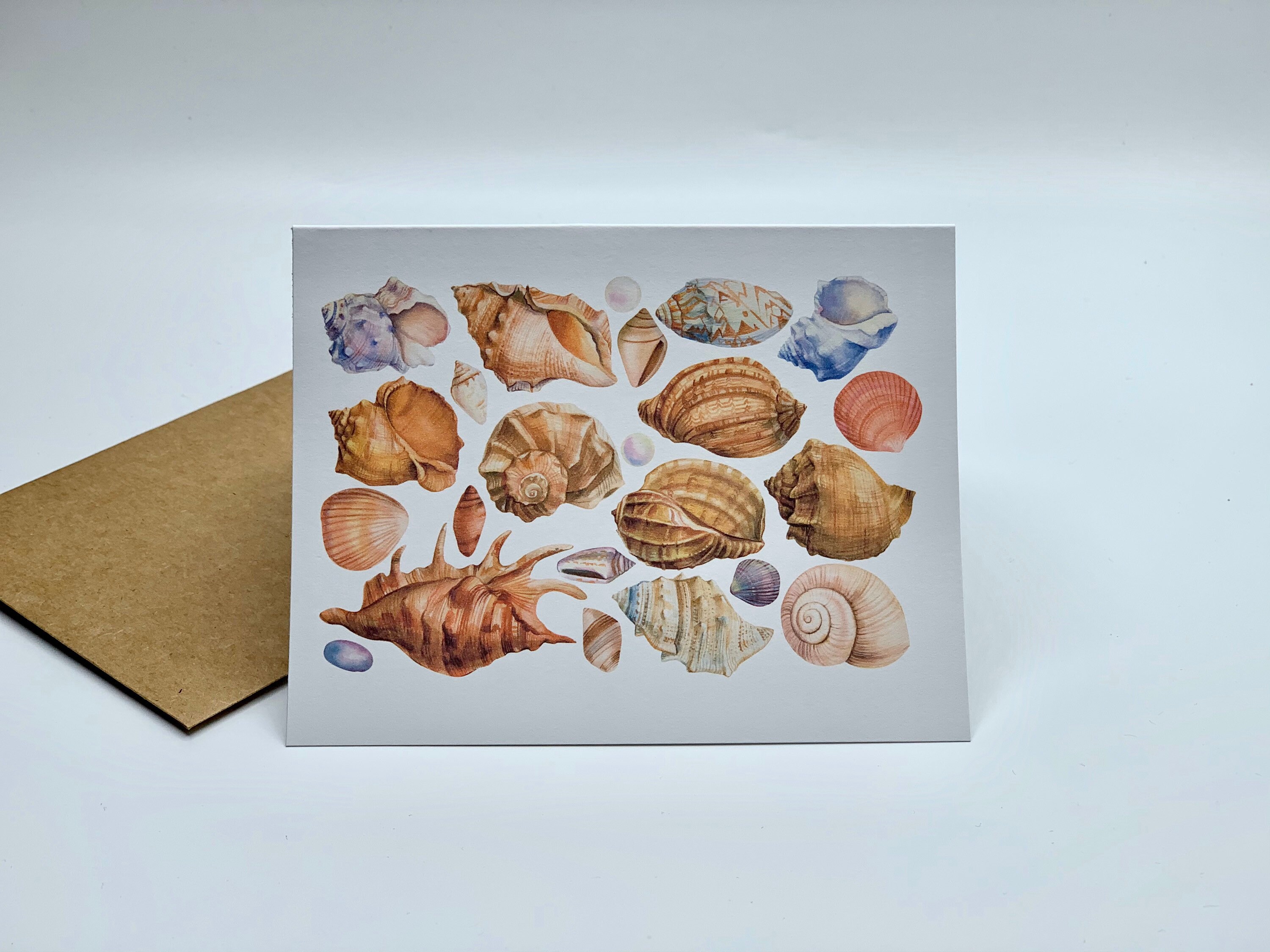 Sea Shells Card seashell Cards with envelopes beach combing Etsy