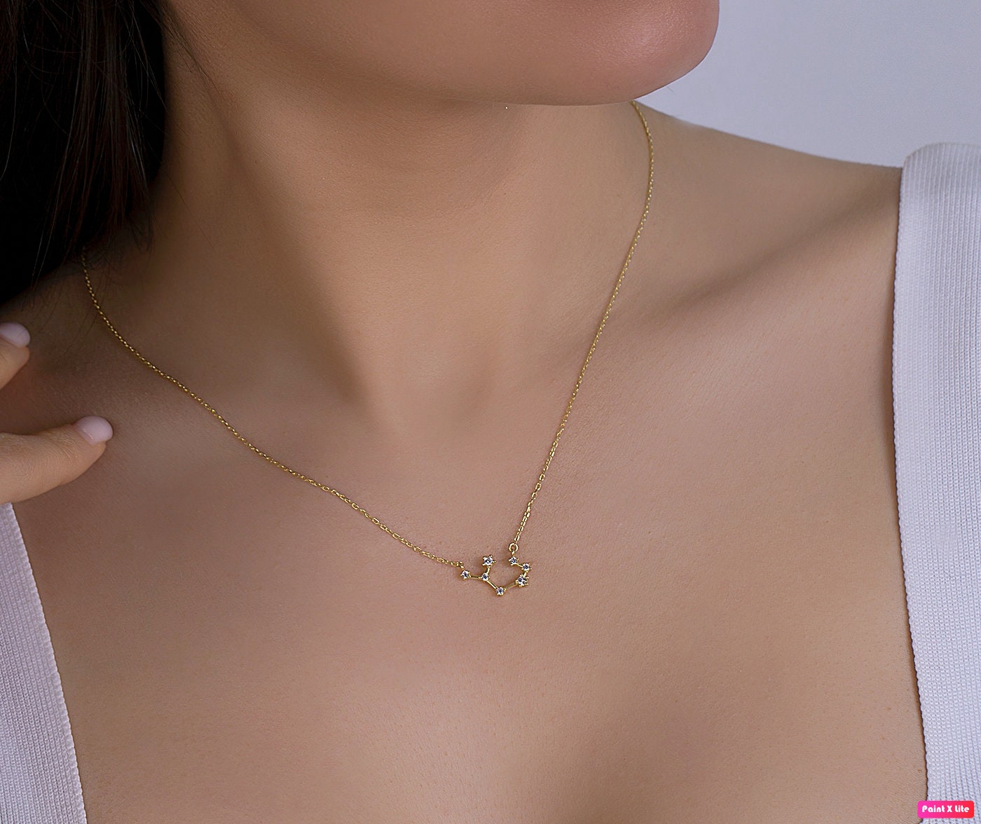 Zodiac Necklace - Personalised Best Friend Gift -  Leo - Cancer Zodia…