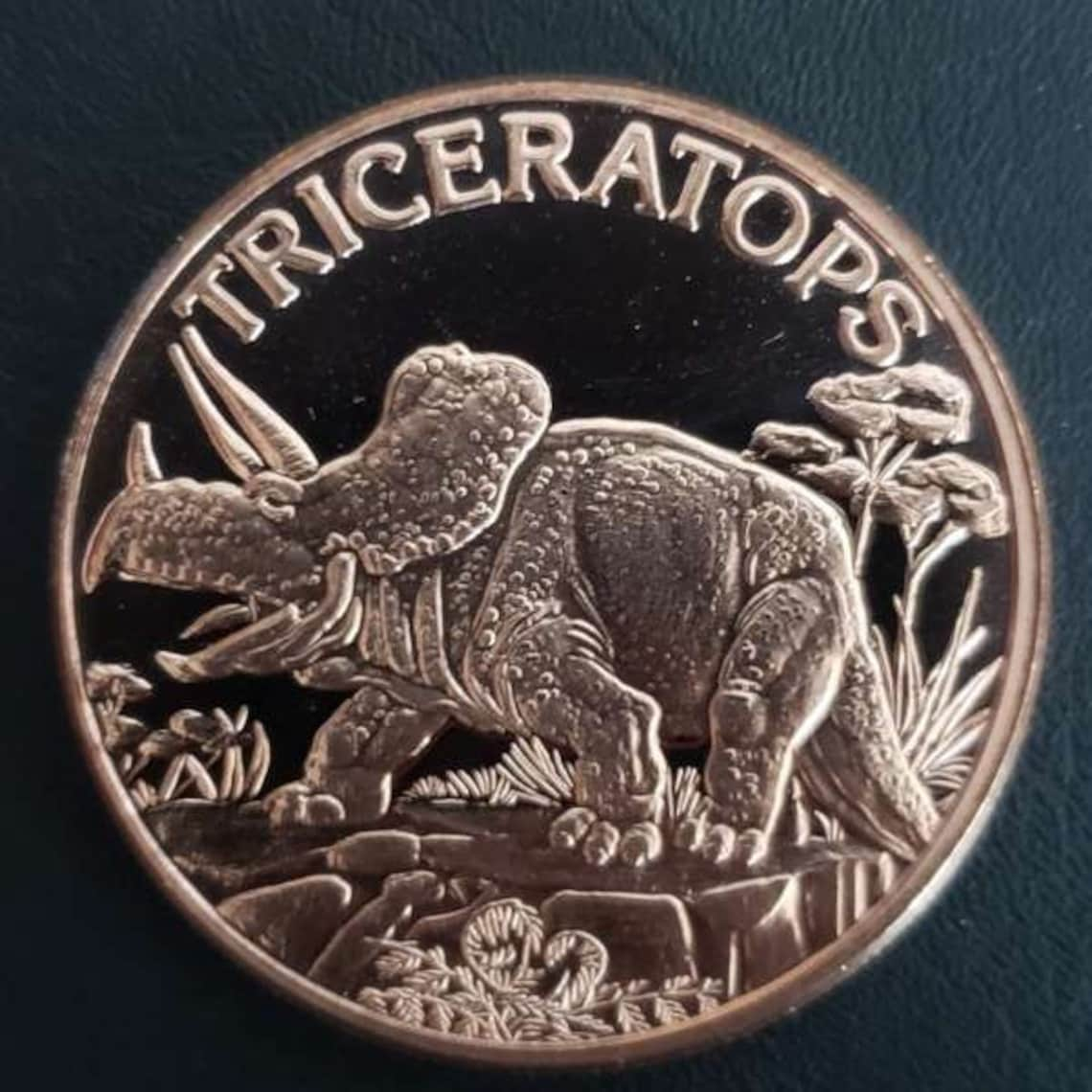 Triceratops Dinosaur Collector Coin Etsy