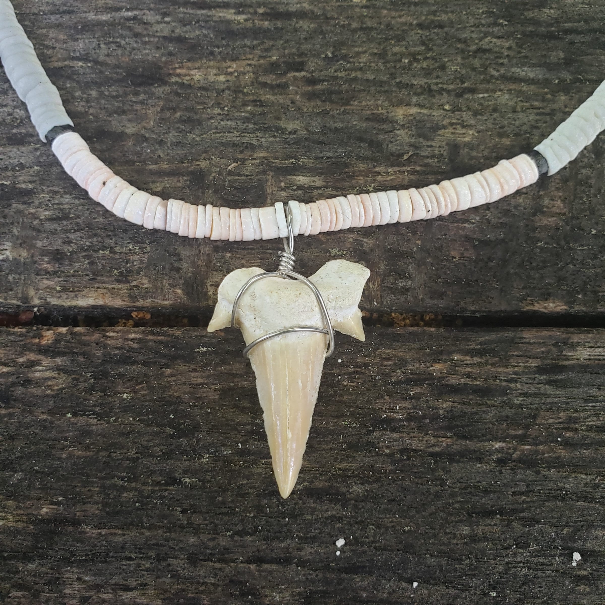 Collar de dientes de tiburón Puka Shell de alta calidad 100 Etsy