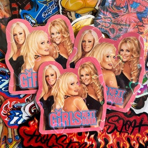 May include: A collection of stickers featuring images of women with blonde hair. Several stickers have a pink border and the text "GIRLS NEXT DOOR" and "GIRLS". Other stickers have various designs and text, including "Fool Stuff".