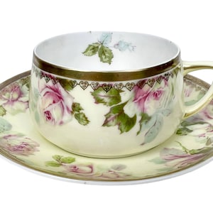 Antique Porcelain Cup & Saucer Hermann Ohme Silesia Roses Pattern
