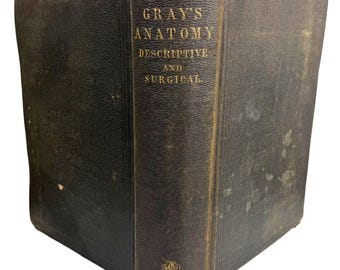 Edizione vintage del 1883 del libro di anatomia di Gray, decima edizione, Henry Gray, anatomia medica e chirurgica illustrata.