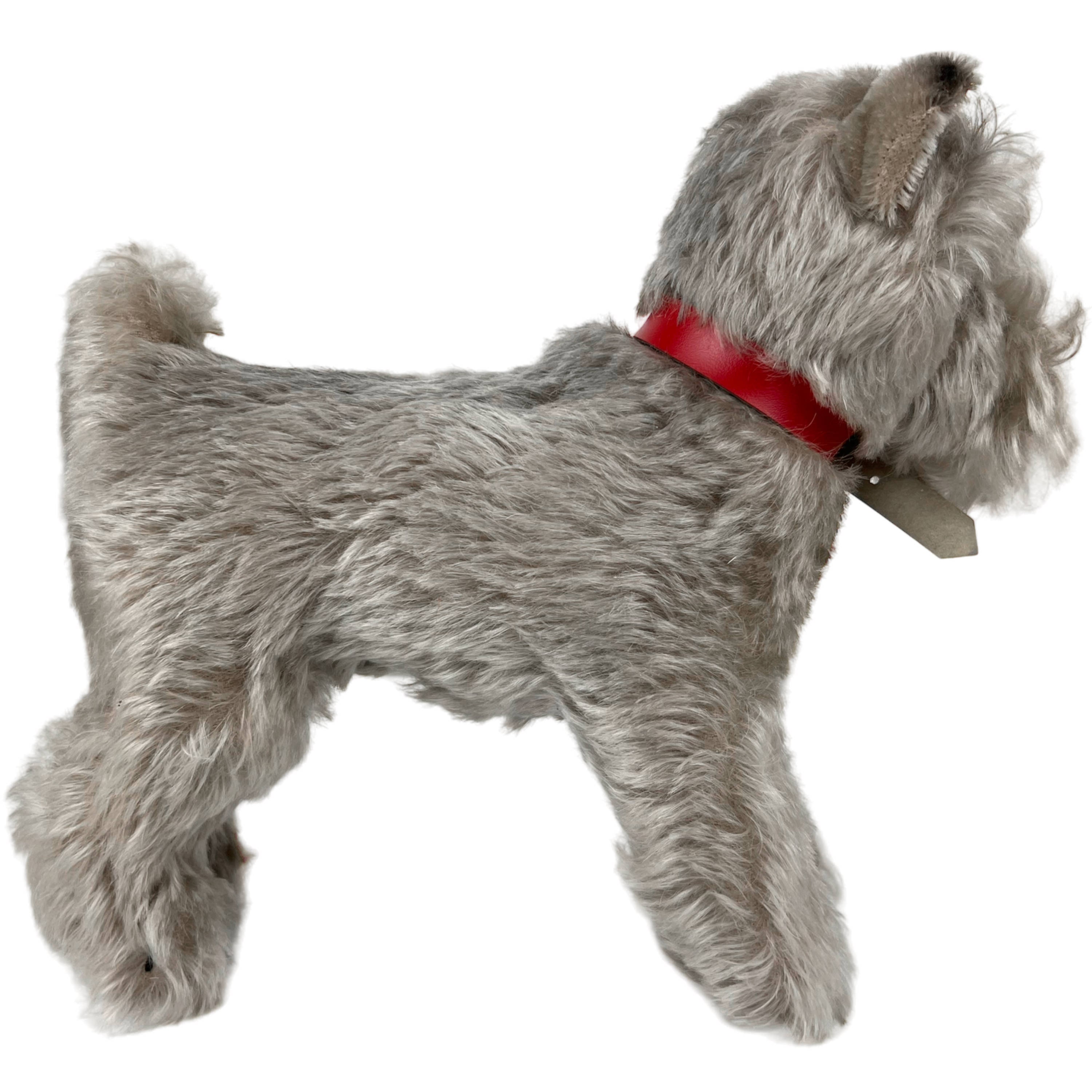 Steiff - シュタイフ★Schnauzer Tessie★シュナウザーのテッシー/イヌ/犬 Steiff Dog Schnauzer Tessie, 10 cm, Art.nr. 1310,00 – Bears
