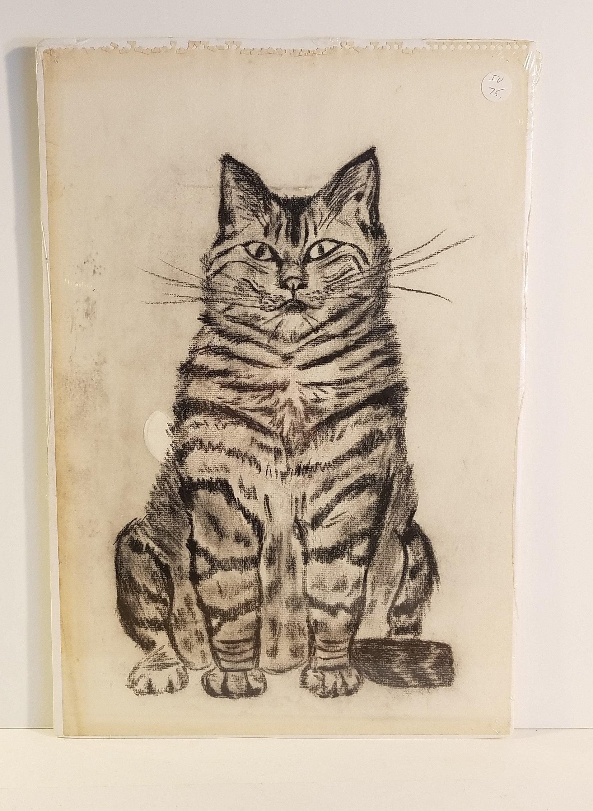 Vintage Cat Charcoal Drawing Sketch Pastel Full Portrait Etsy