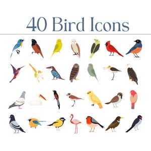 May include: A set of 40 colourful bird icons, featuring a variety of species, including owls, hummingbirds, cardinals, and robins. The icons are illustrated in a cartoon style and are perfect for use in digital projects or printed materials.