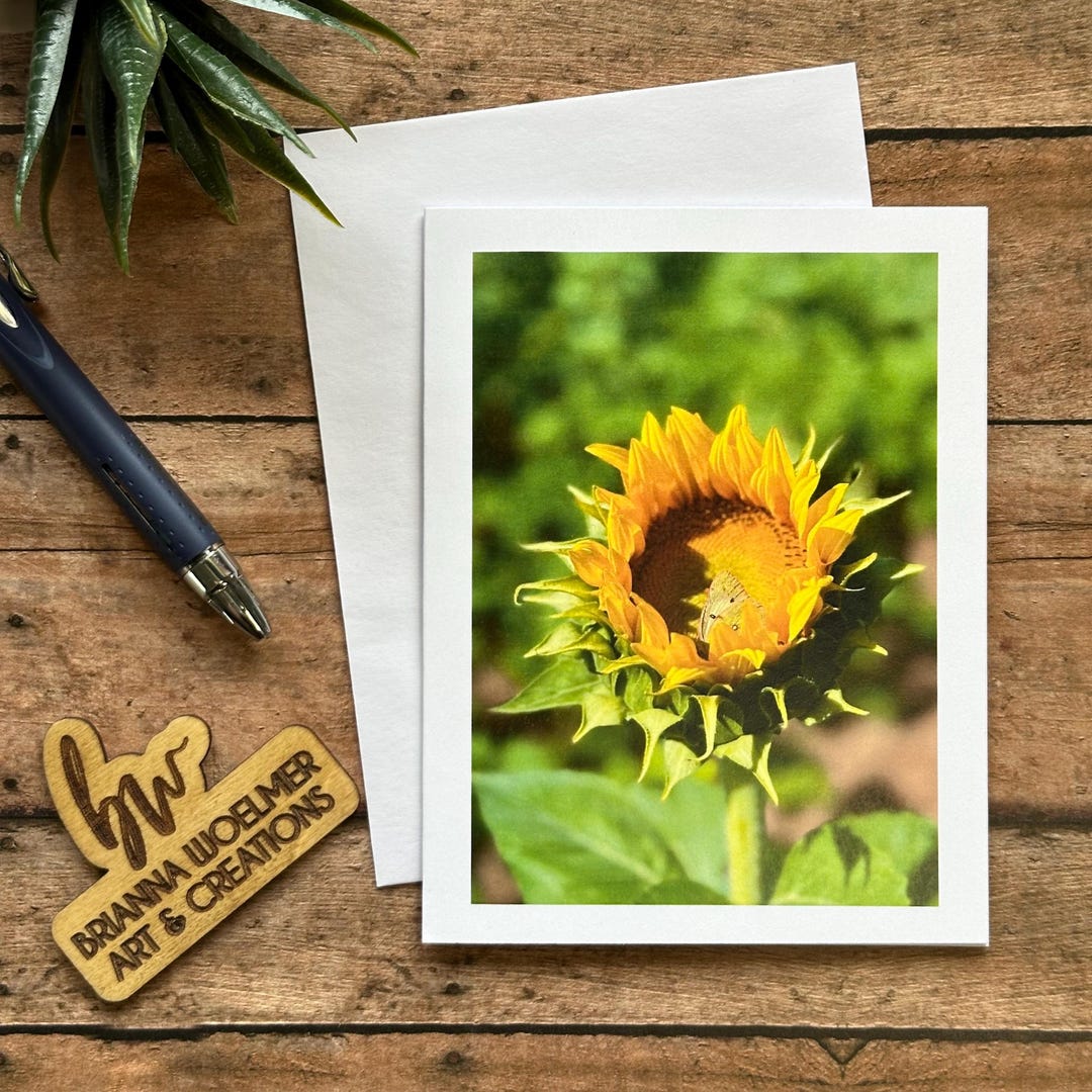Sunflower Note Card Set: Kansas Butterfly Photo, Blank Greeting Cards ...