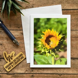 May include: A close-up of a sunflower with a yellow center and brown seeds. The sunflower is in a field of green grass and is surrounded by other sunflowers.