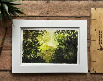 Light shining through Trees on the Trail | Green Foliage in Sunshine | Budding Hope | Summer along the Trail