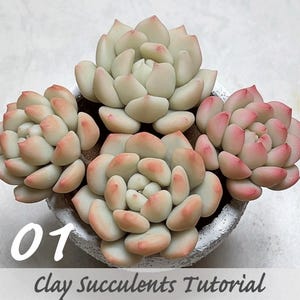 Beginner Clay Succulents Tutorial 01